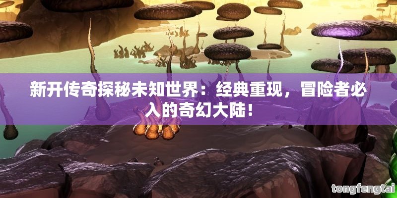 新开传奇探秘未知世界：经典重现，冒险者必入的奇幻大陆！