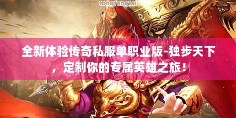 全新体验传奇私服单职业版-独步天下，定制你的专属英雄之旅！