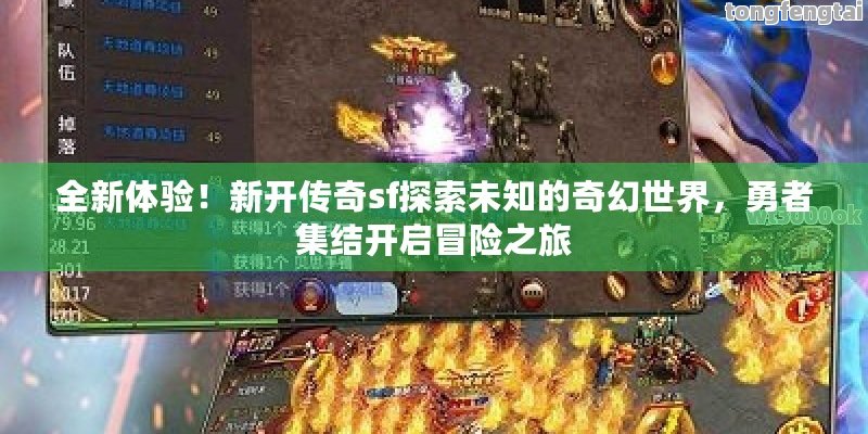 新开传奇sf探索未知领域：打造独一无二的经典游戏体验！