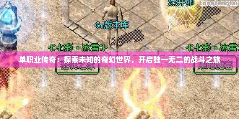单职业传奇：探索未知的奇幻世界，开启独一无二的战斗之旅