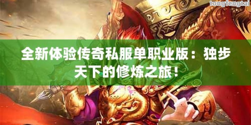 全新体验传奇私服单职业版：独步天下的修炼之旅！