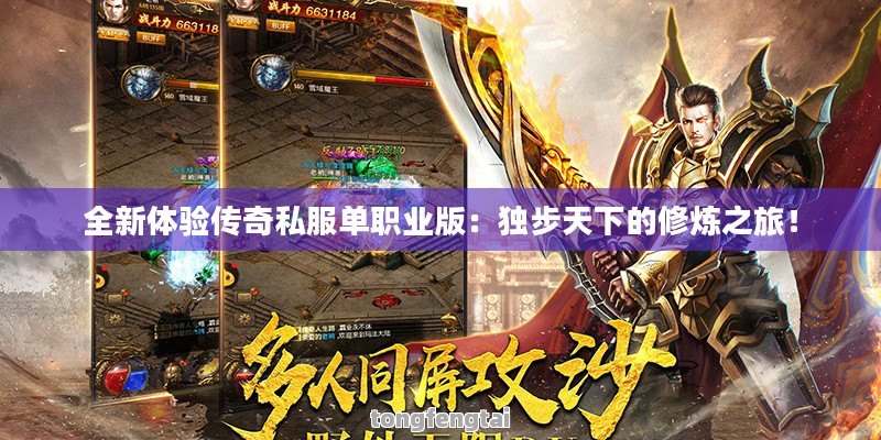 全新体验传奇私服单职业版：独步天下的修炼之旅！