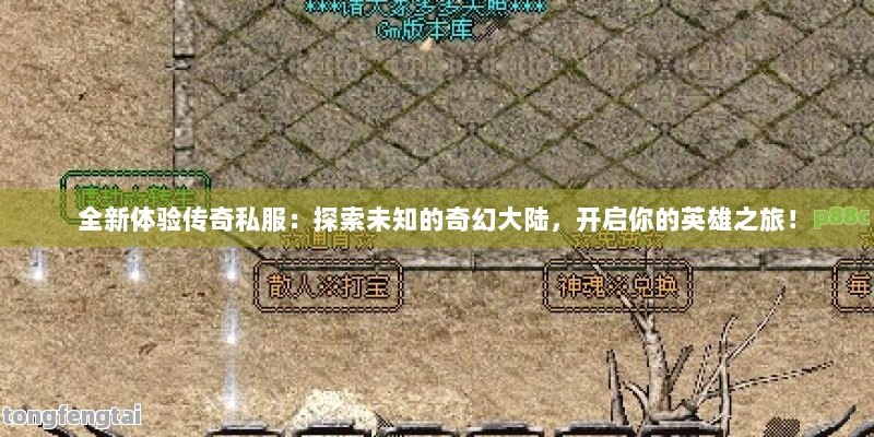 全新体验传奇私服：探索未知的奇幻大陆，开启你的英雄之旅！
