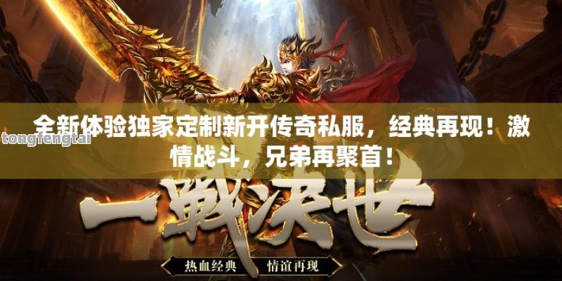 全新体验独家定制新开传奇私服，经典再现！激情战斗，兄弟再聚首！
