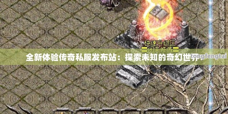 全新体验传奇私服发布站：探索未知的奇幻世界！