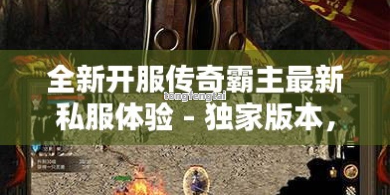 全新开服传奇霸主最新私服体验 - 独家版本，热血战斗一触即发！
