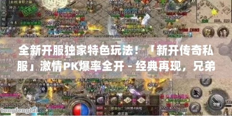 全新开服独家特色玩法！「新开传奇私服」激情PK爆率全开 - 经典再现，兄弟再聚首