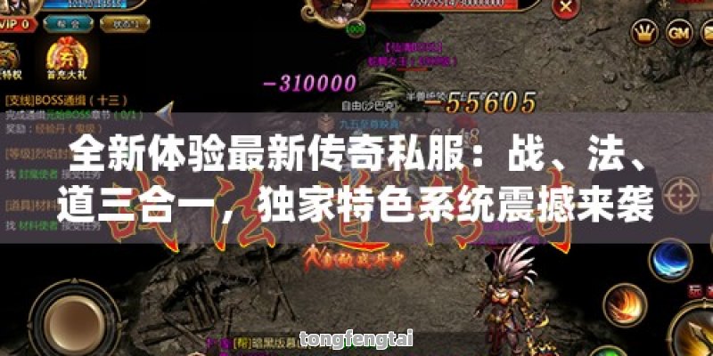 全新体验最新传奇私服：战、法、道三合一，独家特色系统震撼来袭！