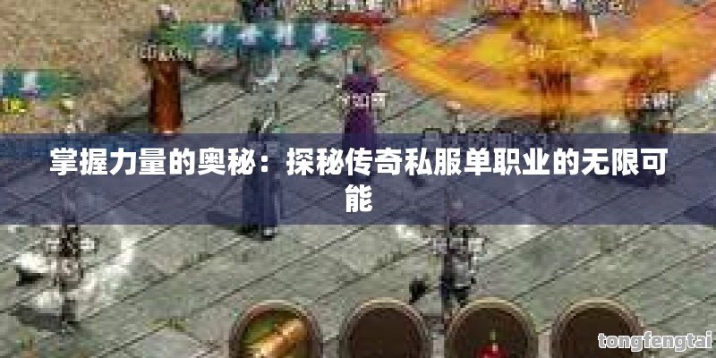 掌握力量的奥秘：探秘传奇私服单职业的无限可能