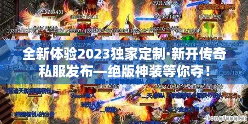 全新体验2023独家定制·新开传奇私服发布—绝版神装等你夺！