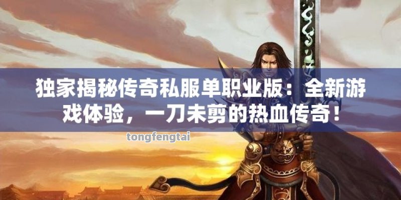 独家揭秘传奇私服单职业版：全新游戏体验，一刀未剪的热血传奇！