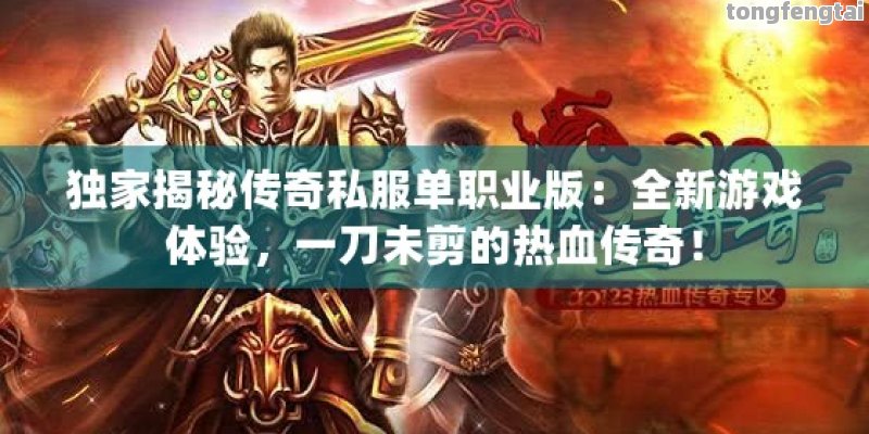 独家揭秘传奇私服单职业版：全新游戏体验，一刀未剪的热血传奇！